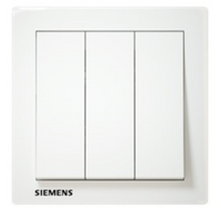 Siemens 10A 3G 1W Switch (flush)