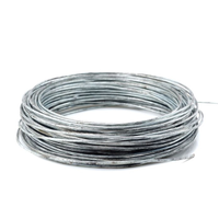 G.i Wire SWG14# 10KG 铁线卷