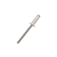 Rs Pro 2065348 Aluminium Blind Rivet, 4.8mm (1 Bag of 100)