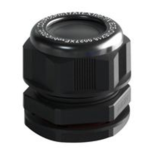 Cable Gland