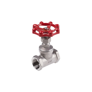 Globe Valves