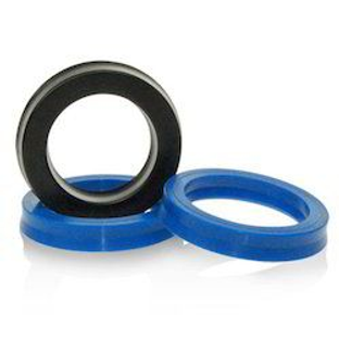 Hydraulic Seals