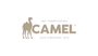 CAMEL products